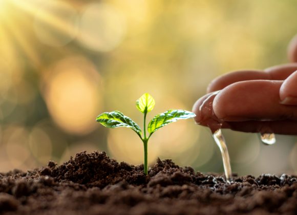 Water conservation in agriculture