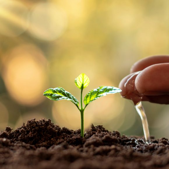 Water conservation in agriculture