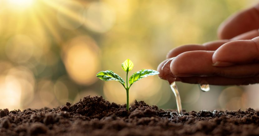 The importance of Water Conservation in Agriculture and its Techniques Water conservation in agriculture