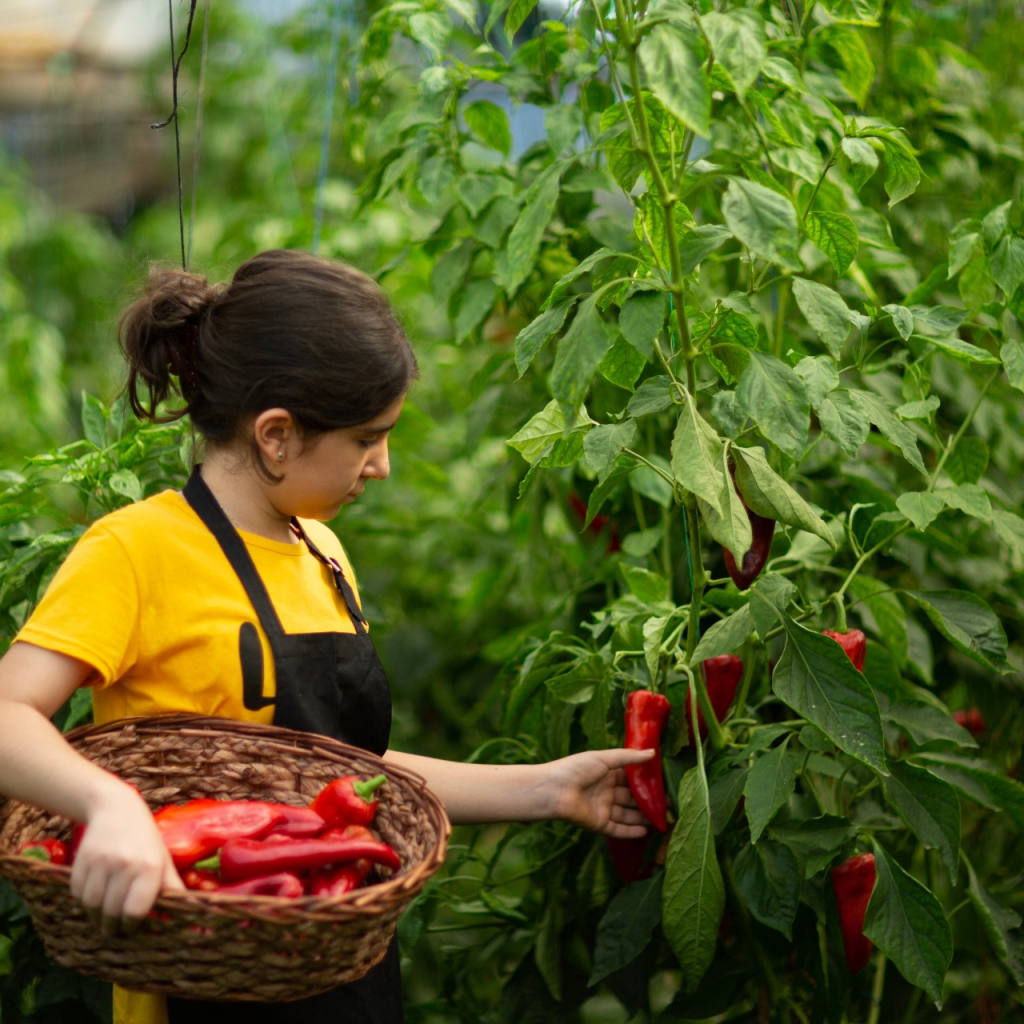 Organic Farming