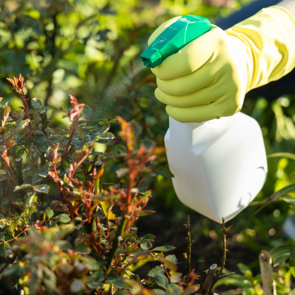 Integrated Pest Management