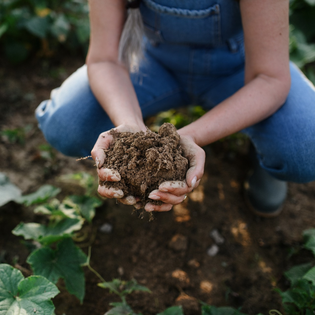 Regenerative Agriculture