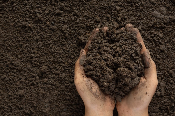 Why soil testing Matters